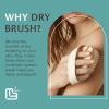 imageFirm Dry Brush ampamp Shower Brush for Body  Handheld Back Scrubber Body Brush Exfoliator ampamp Dead Skin Remover for Body Firm ampamp Tighten Skin Improve Circulation for Men ampamp Women by M3 NaturalsFirm Dry Brush