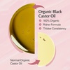 image:imageOrganic Cold Pressed Castor Oil RollOn Nourishing Treatment HexaneFree USDA Organic Idea for Hair Skin amp Brows  MessFree Applicator 3 fl 0z 89 mL by M3Black Castor Oil Kit 4 fl oz